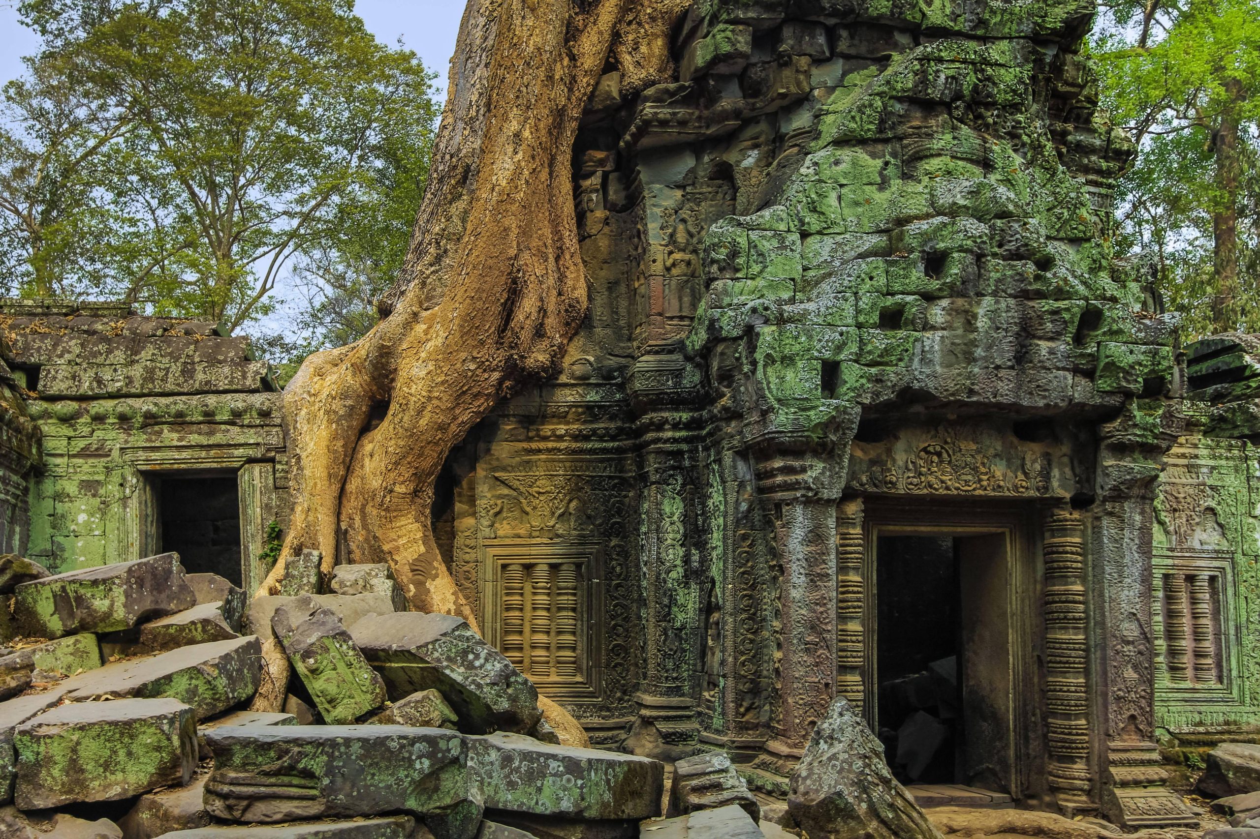 Храм Та Прум, Ангкор, Камбоджа