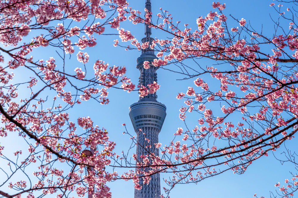 Tokyo Skytree япония 