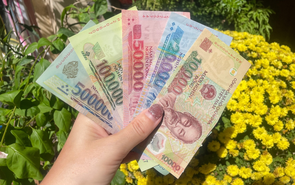 донги вьетнам