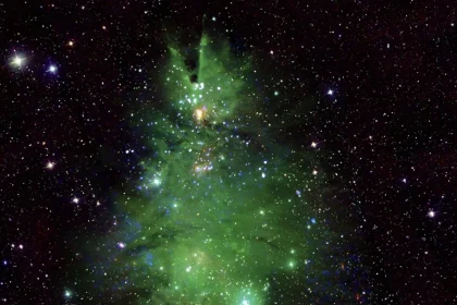 «Рождественская елка» (NGC 2264) космос