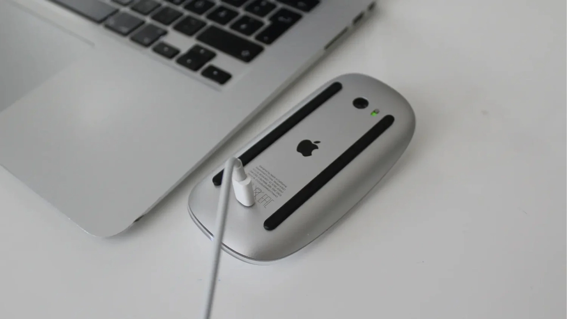 apple Magic Mouse
