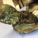 зеленая мумия